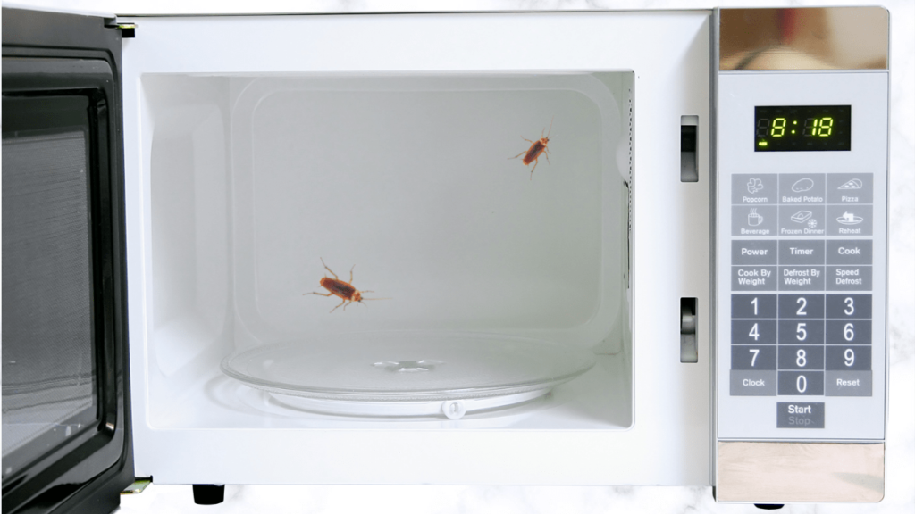 How To Remove Cockroaches From Microwave Oven?