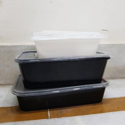 Disposable Food Containers/Take-out Containers & Boxes